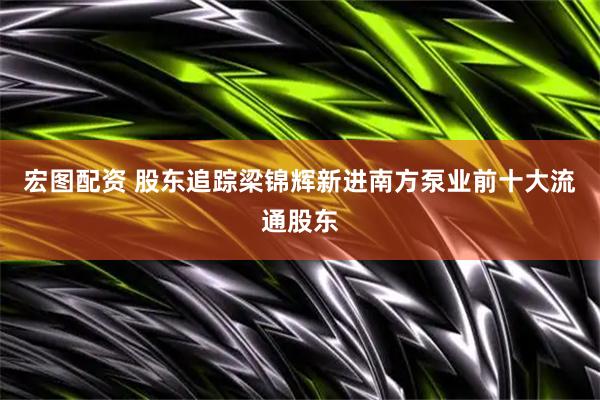 宏图配资 股东追踪梁锦辉新进南方泵业前十大流通股东