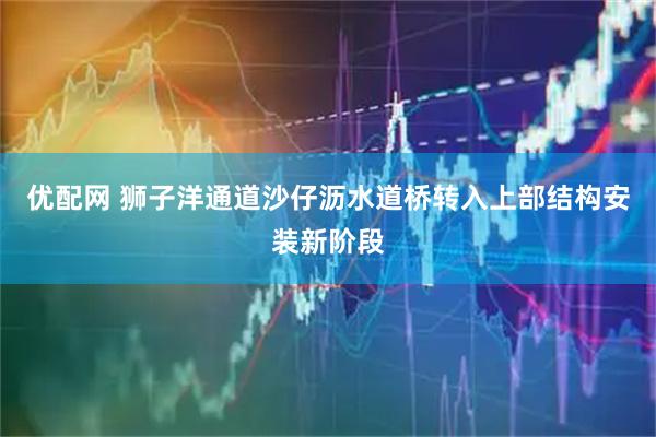 优配网 狮子洋通道沙仔沥水道桥转入上部结构安装新阶段