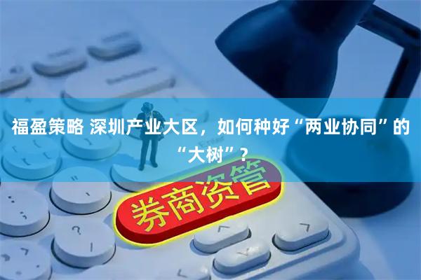 福盈策略 深圳产业大区，如何种好“两业协同”的“大树”？