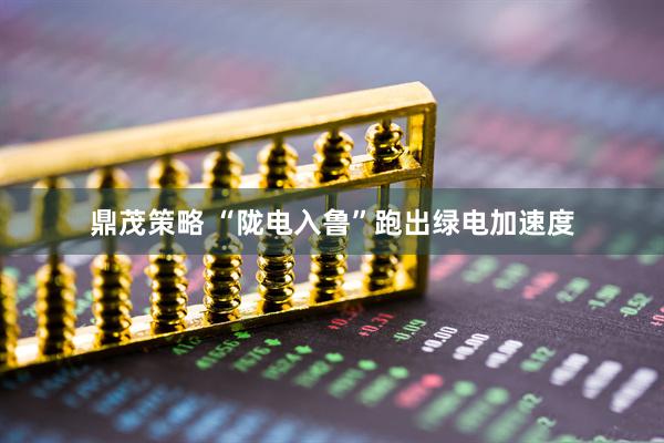 鼎茂策略 “陇电入鲁”跑出绿电加速度
