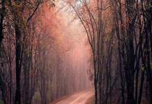 股票在手机上怎么开户:股票配资网-中央汇金扫货路线图：大举增持ETF 1.28万亿规模创新高